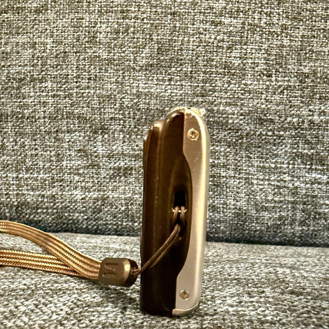 Nikon COOLPIX A100 シルバー Digital Camera