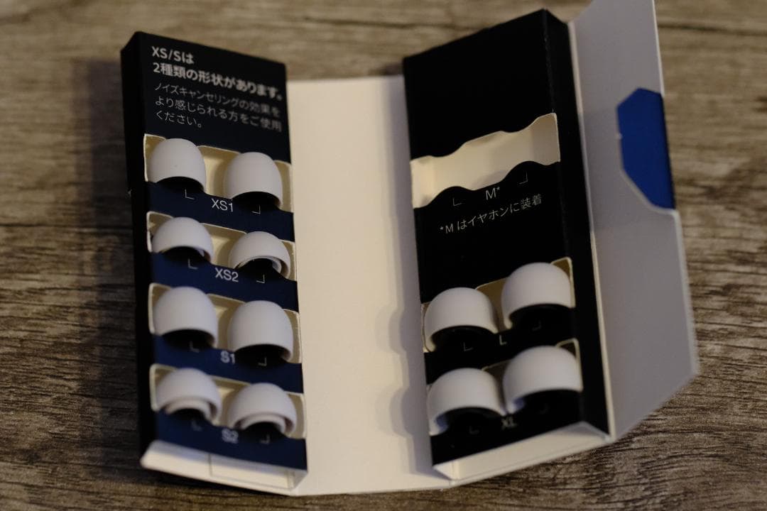 【ケース付き】Technics EAH-AZ80（ワイヤレスイヤホン）