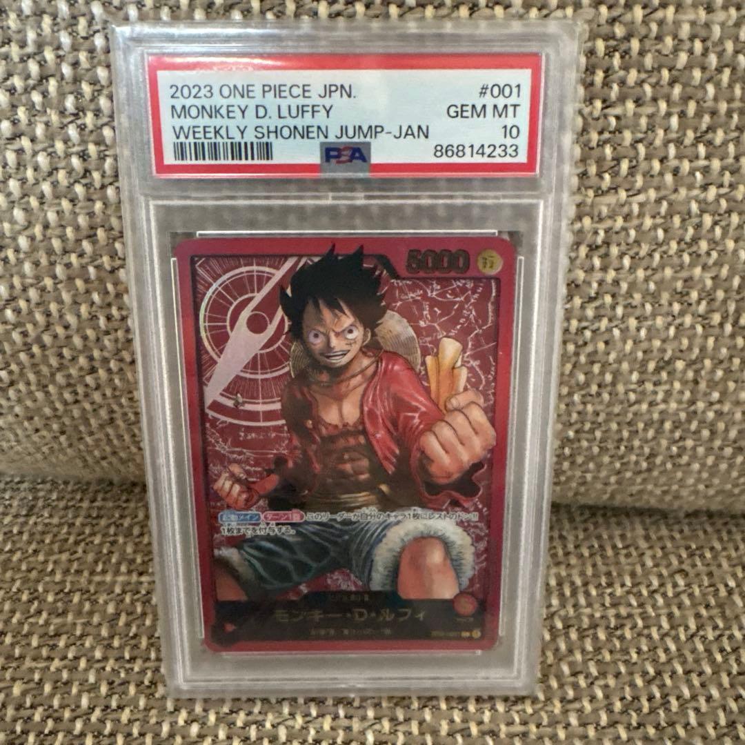 レカフィグルフィ PSA10