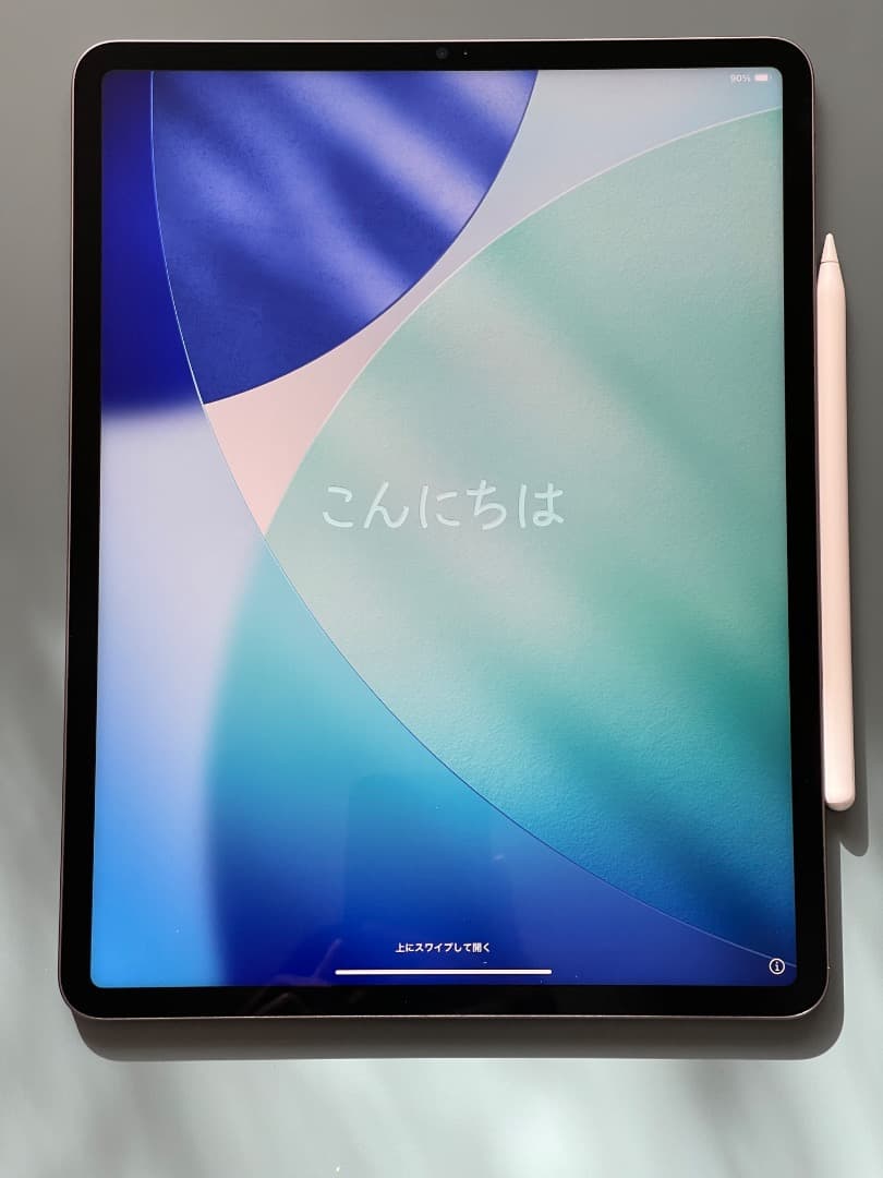 iPad Pro 12.9 第5世代 256GB Wi-Fi + Pencil付
