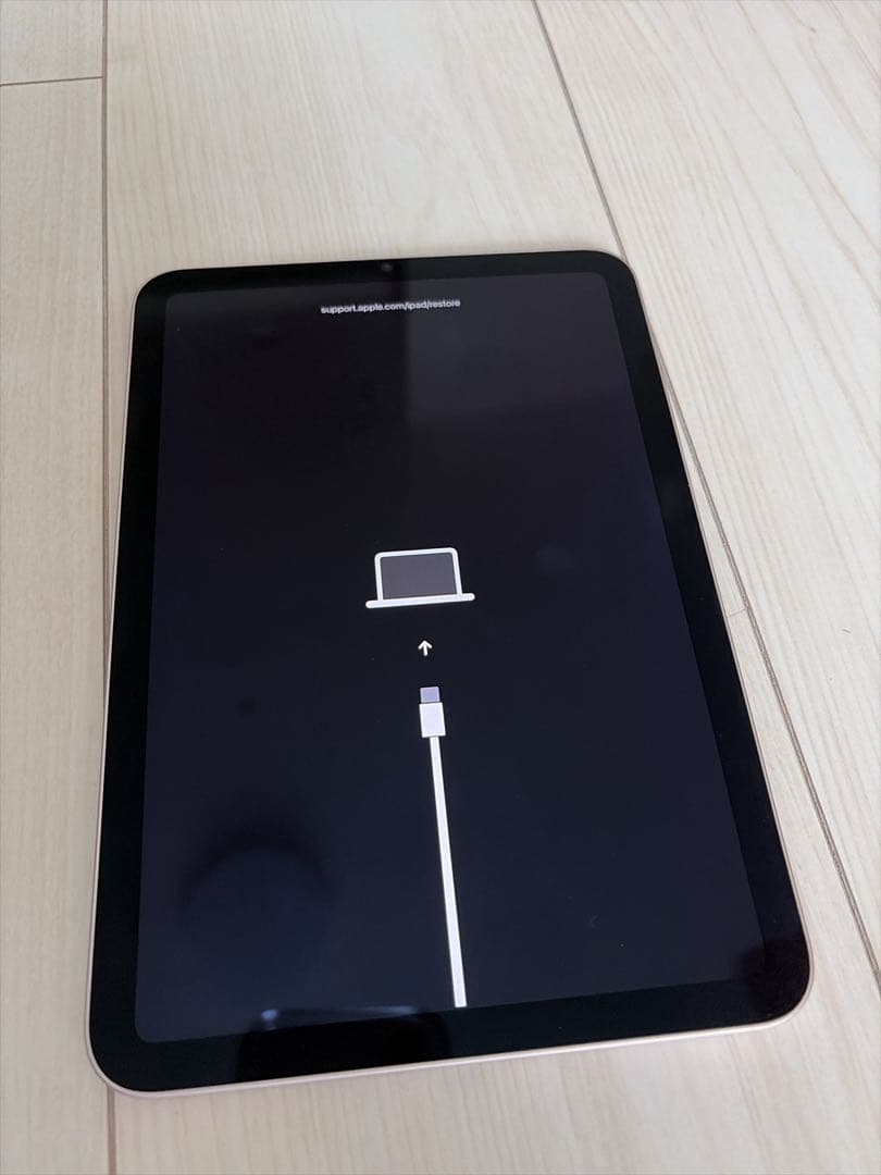 iPad mini 第6世代 割れなし 64GB Wi-Fi ジャンク