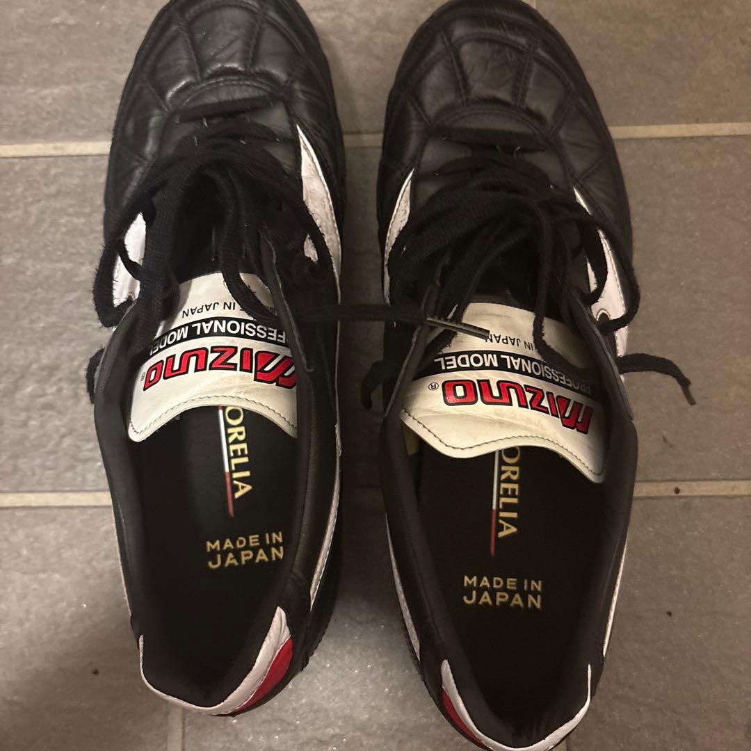 モレリア2Japanクロスステッチ