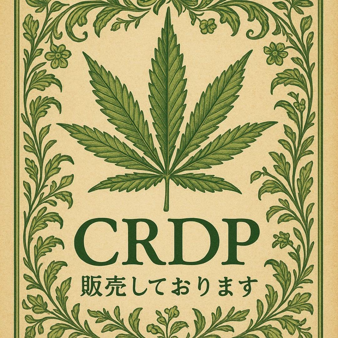 CRDP原液1g