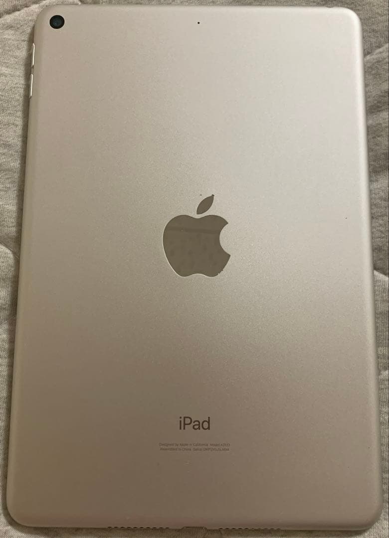 Apple iPad mini 5 シルバー 本体　訳あり
