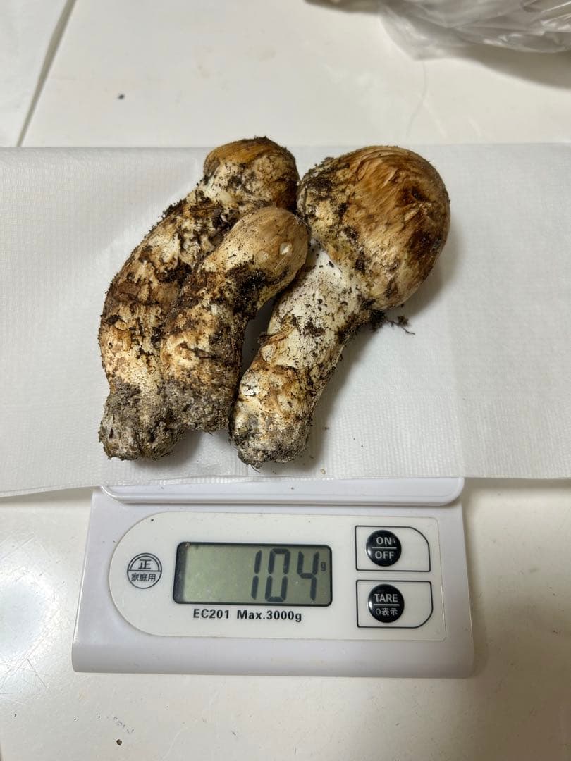 極上広島県産松茸104g