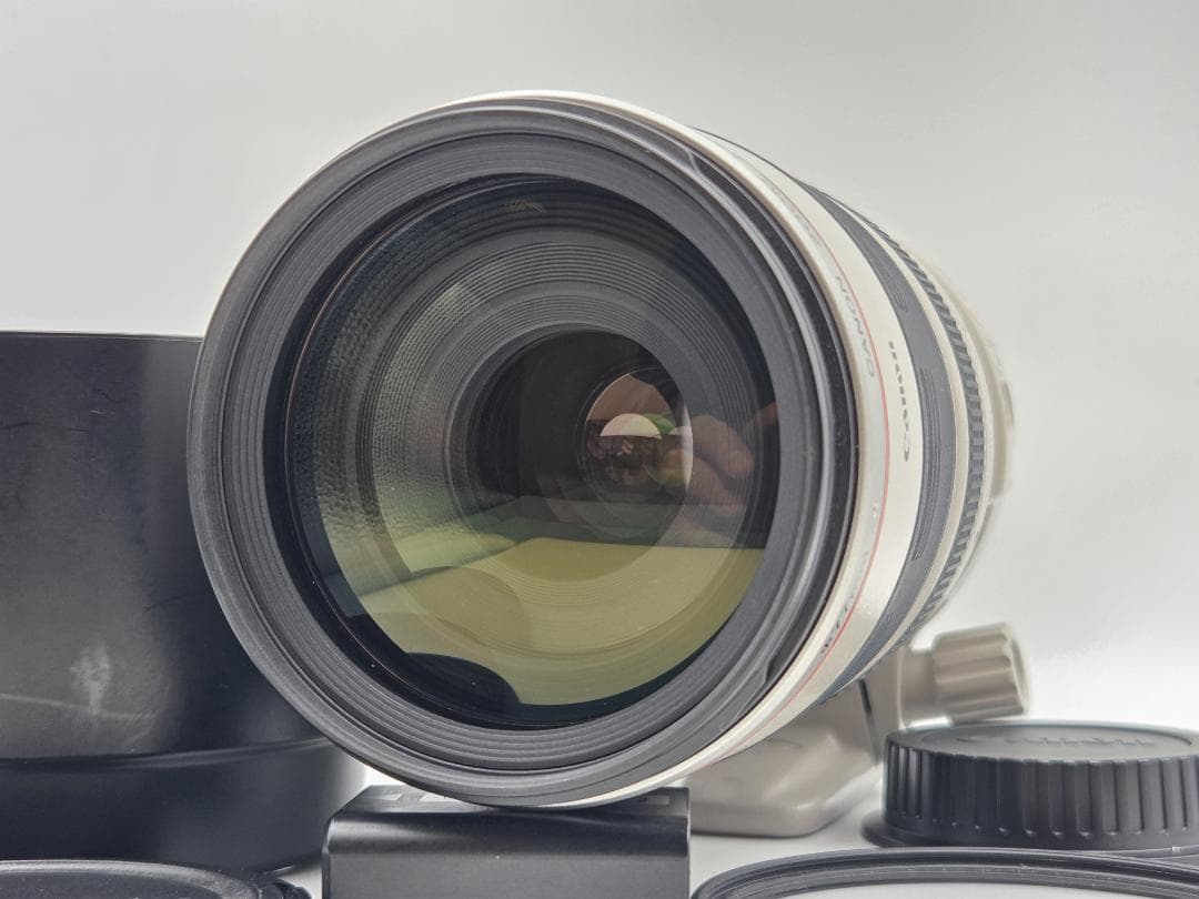 レンズ(ズーム) Canon EF 100-400mm F4.5-5.6 L IS USM