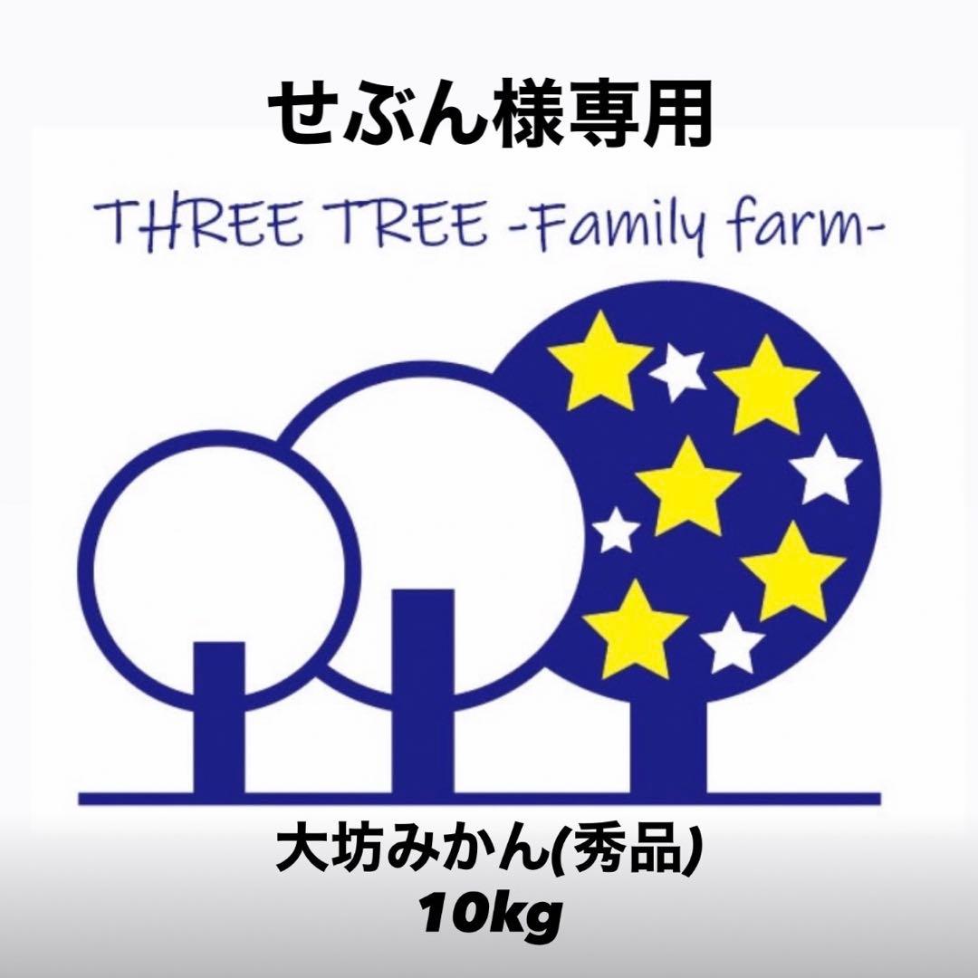 せぶん! 温州みかん 樹熟大坊みかん 秀品(贈答品同様)2Sサイズ10kg