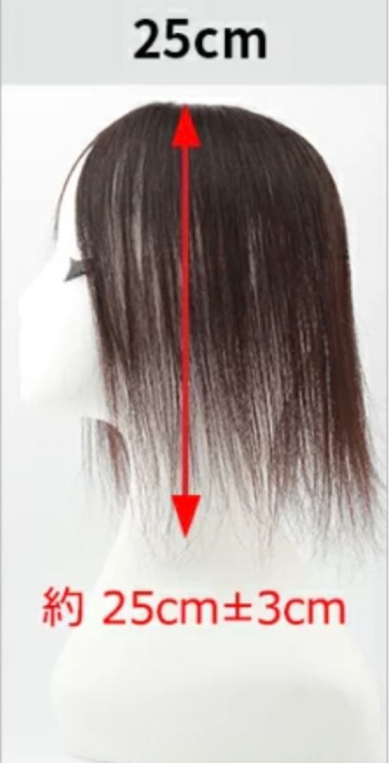 人毛 部分ウィッグ　部分ウィッグ 人毛 ウィッグ かつら ポイントウィッグ