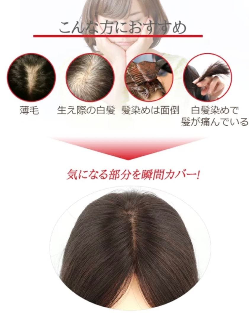 人毛 部分ウィッグ　部分ウィッグ 人毛 ウィッグ かつら ポイントウィッグ