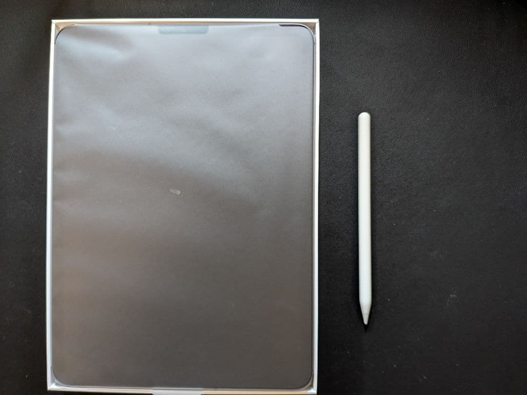 【美品】iPad Pro 11 Wi-Fi + Cellular 256GB