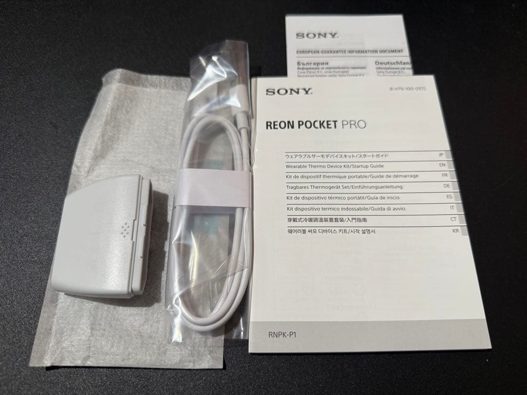 その他 SONY REON POCKET PRO