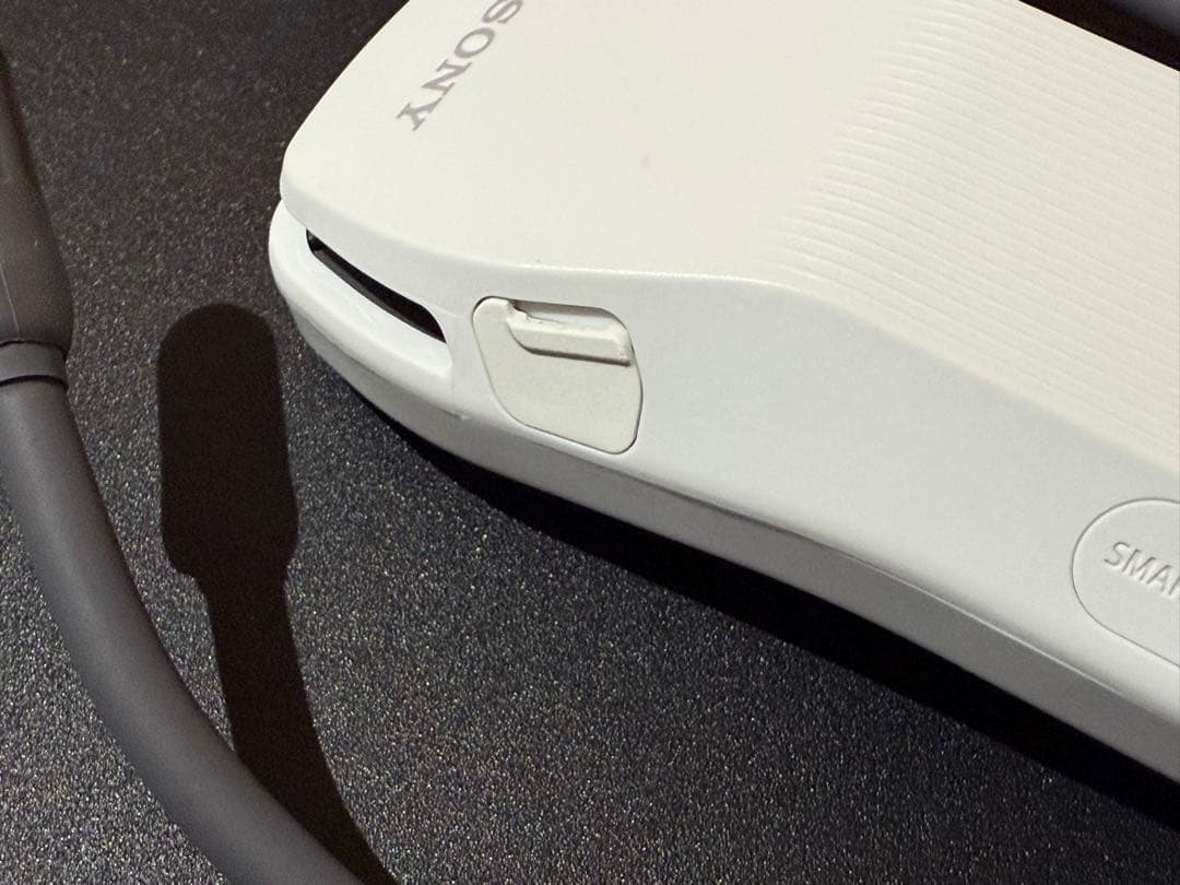 その他 SONY REON POCKET PRO