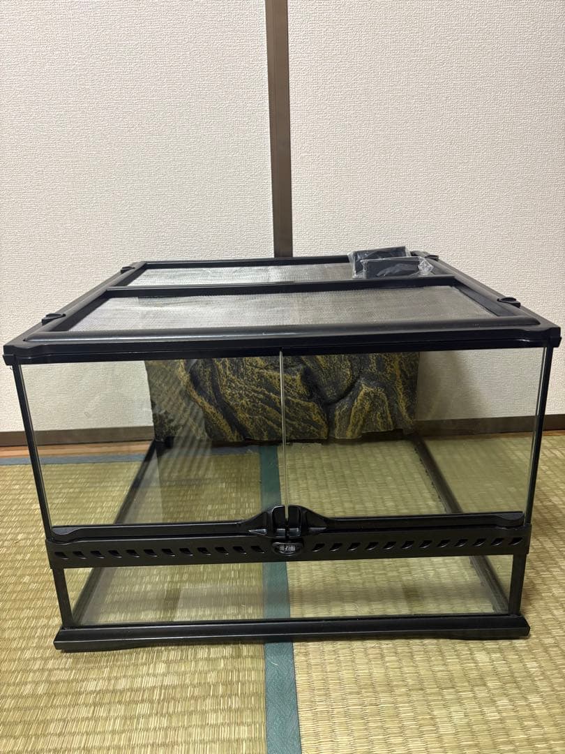 【直接取引限定】【早い者勝ち】グラステラリウム4530！