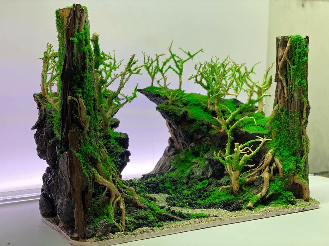 【在庫処分　半額OFF】自然美水景レイアウト – メンテナンス不要で常に緑豊か！