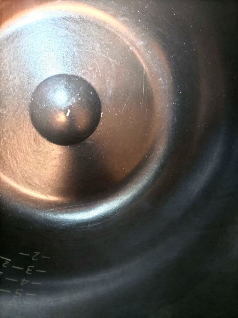 【送料込み・匿名配送】タイガーIH炊飯ジャー　 シャンパンベージュ　GABA増量