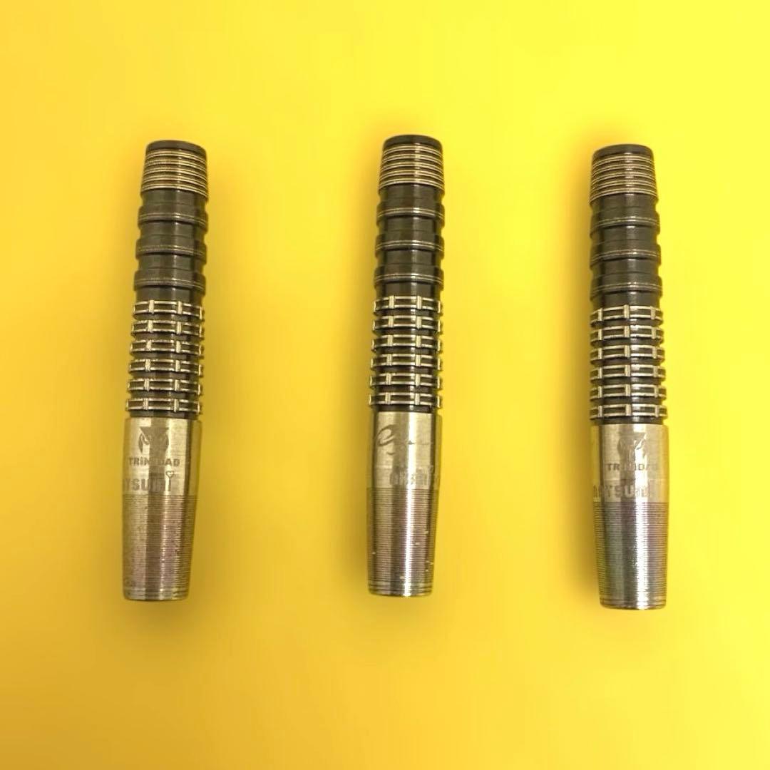 最終値下) TRiNiDAD×Ryu ROMEKARI2 トリニ ダーツ バレル