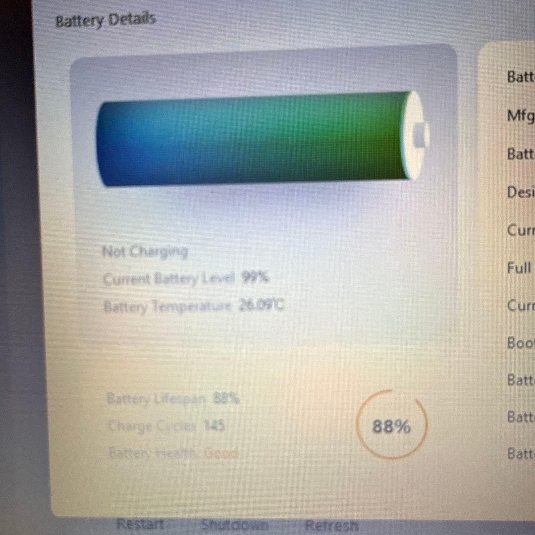 Apple iPad mini Wi-Fi＋セルラー 256GB パープル 本体