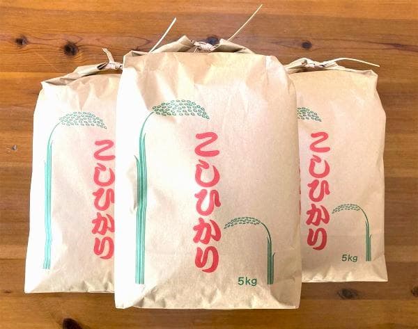 農家保有米 令和7年産 コシヒカリ 15kg(5kg×3) 玄米 15キロ 新米