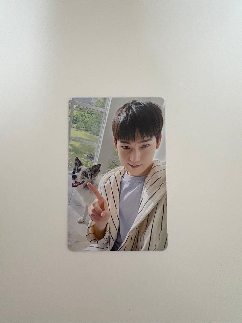 ENHYPEN 2025会報　アンケートトレカ　ソヌ