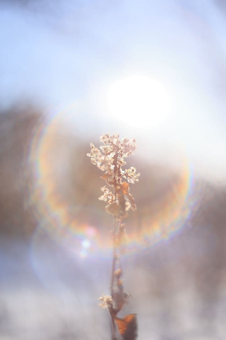 Super-Takumar 55mm F1.8 初期型 S/N：628134