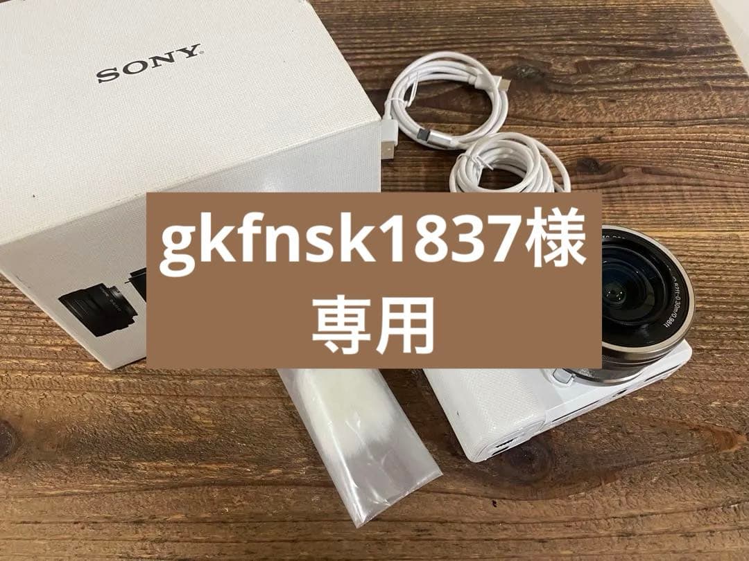 【gkfnsk1837 】SONY ZV-E10 パワーズームレンズキット