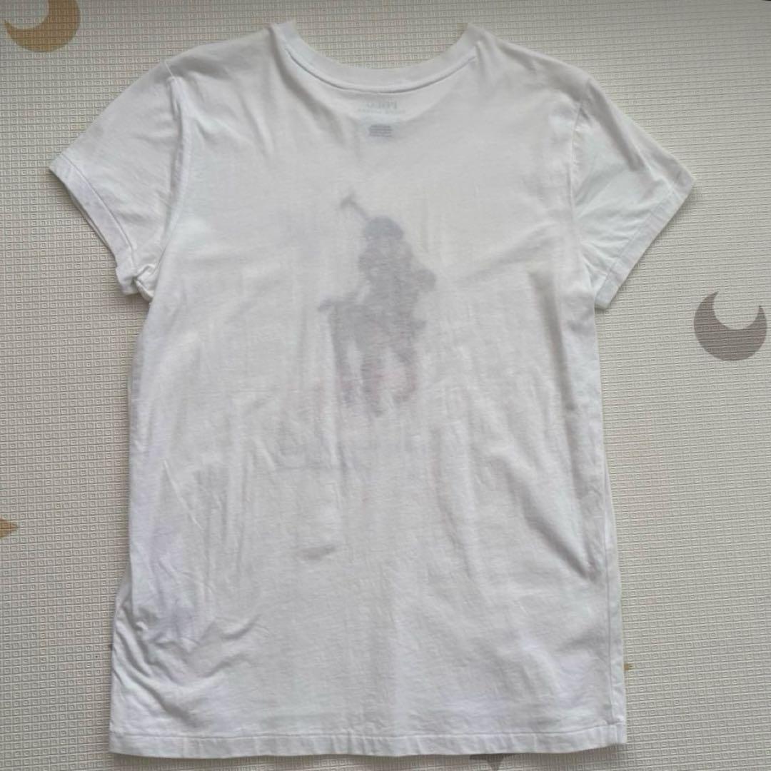 Polo Bear刺繍 ホワイト半袖Tシャツ