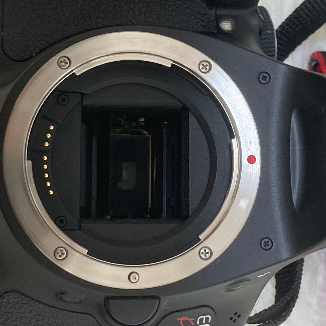 Canon EOS Kiss X5 ジャンク扱い