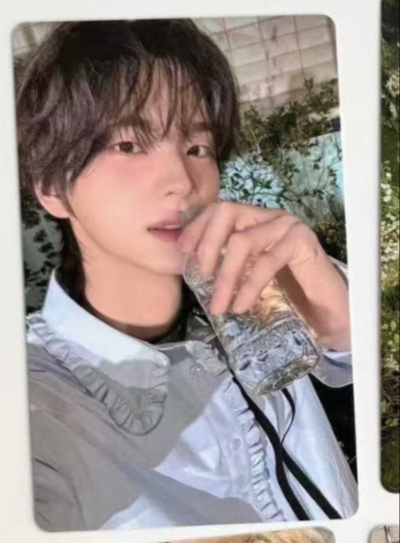 TWS シニュ weverse バレンタインサイン会 限定 トレカ