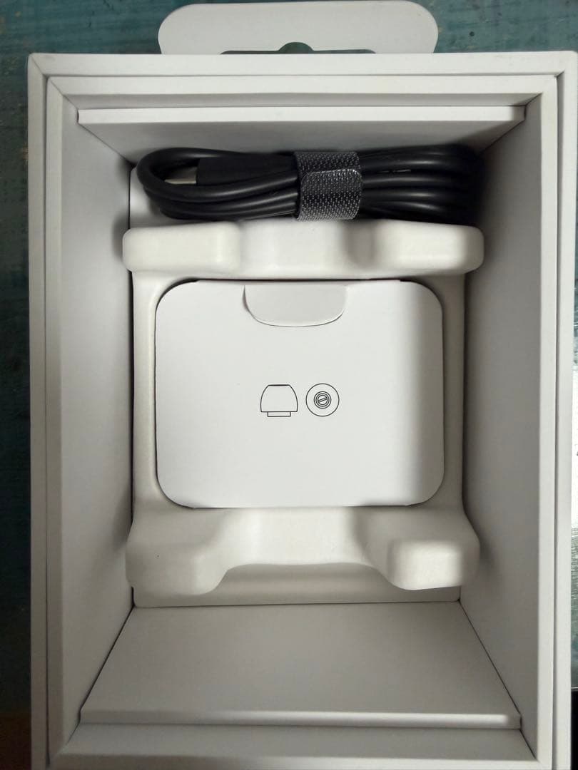 イヤホン Bowers & Wilkins Pi8