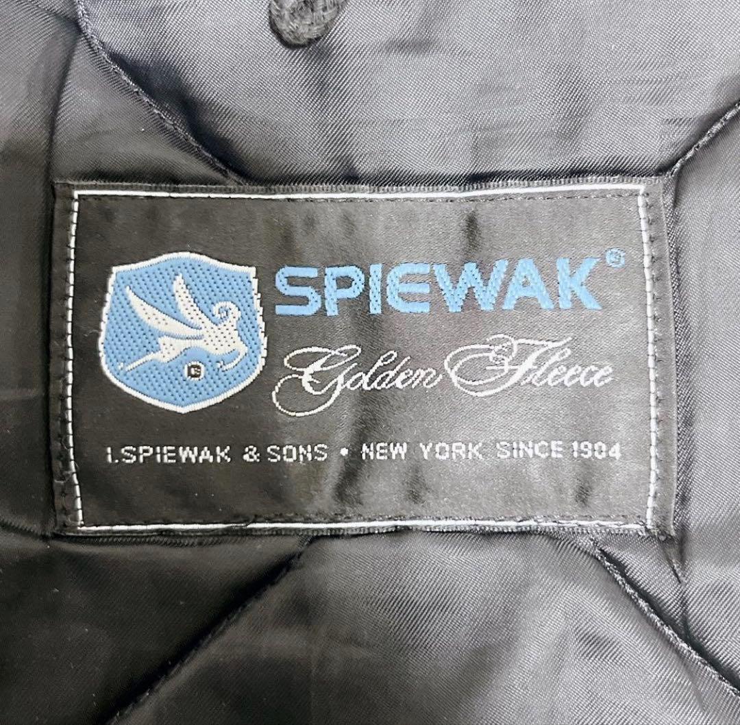 値下げ美品USA製 SPIEWAK タイタンクロス N-3B ミリタリー42