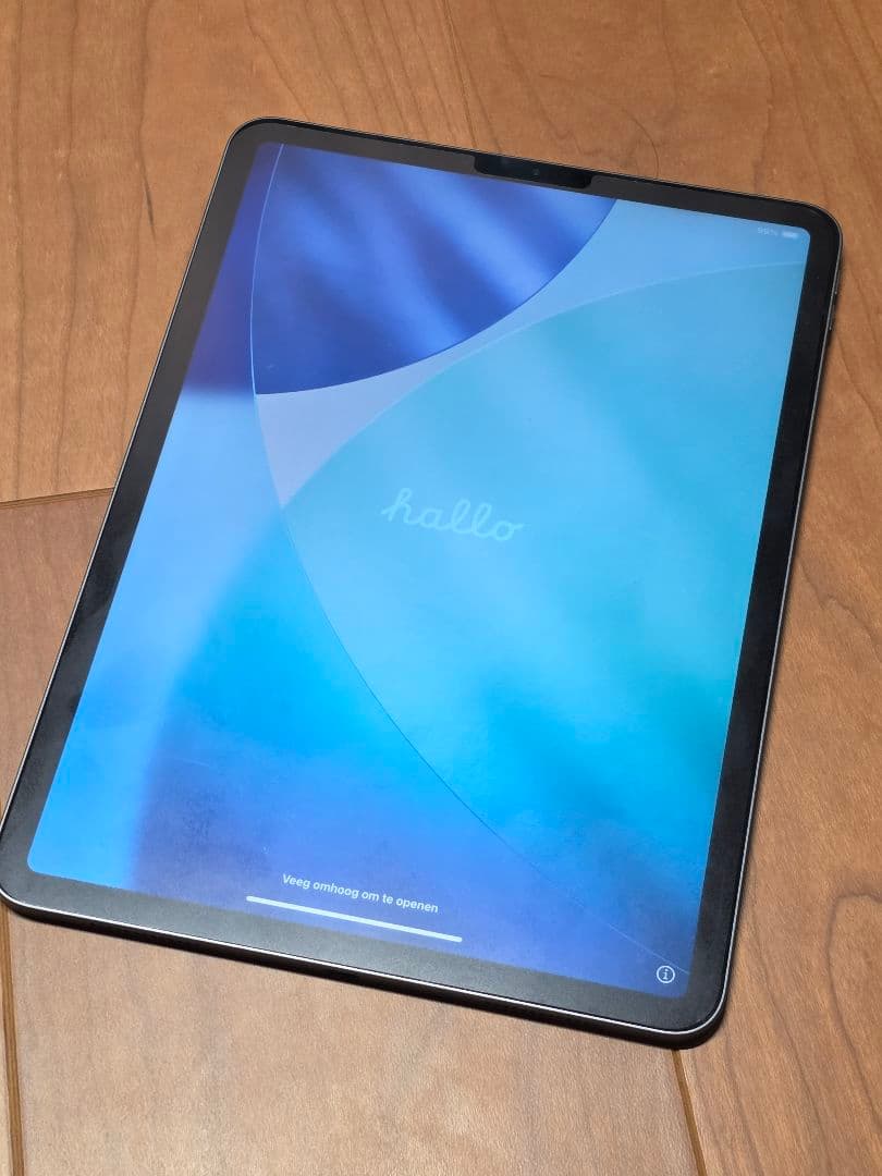 iPad Pro 11インチ 256GB 第2世代