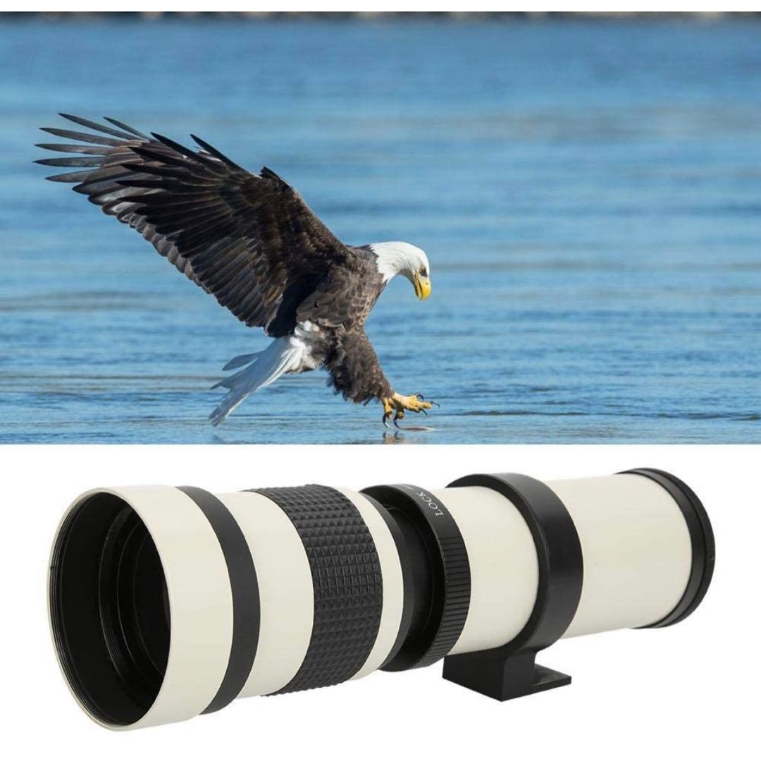 Canon一眼レフをお持ちの方におすすめ！ズームレンズ！カメラ初心者サポート付き