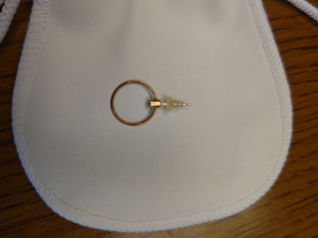 ム*ク様 オークションセール！ ピアス　片耳　ヒロタカ