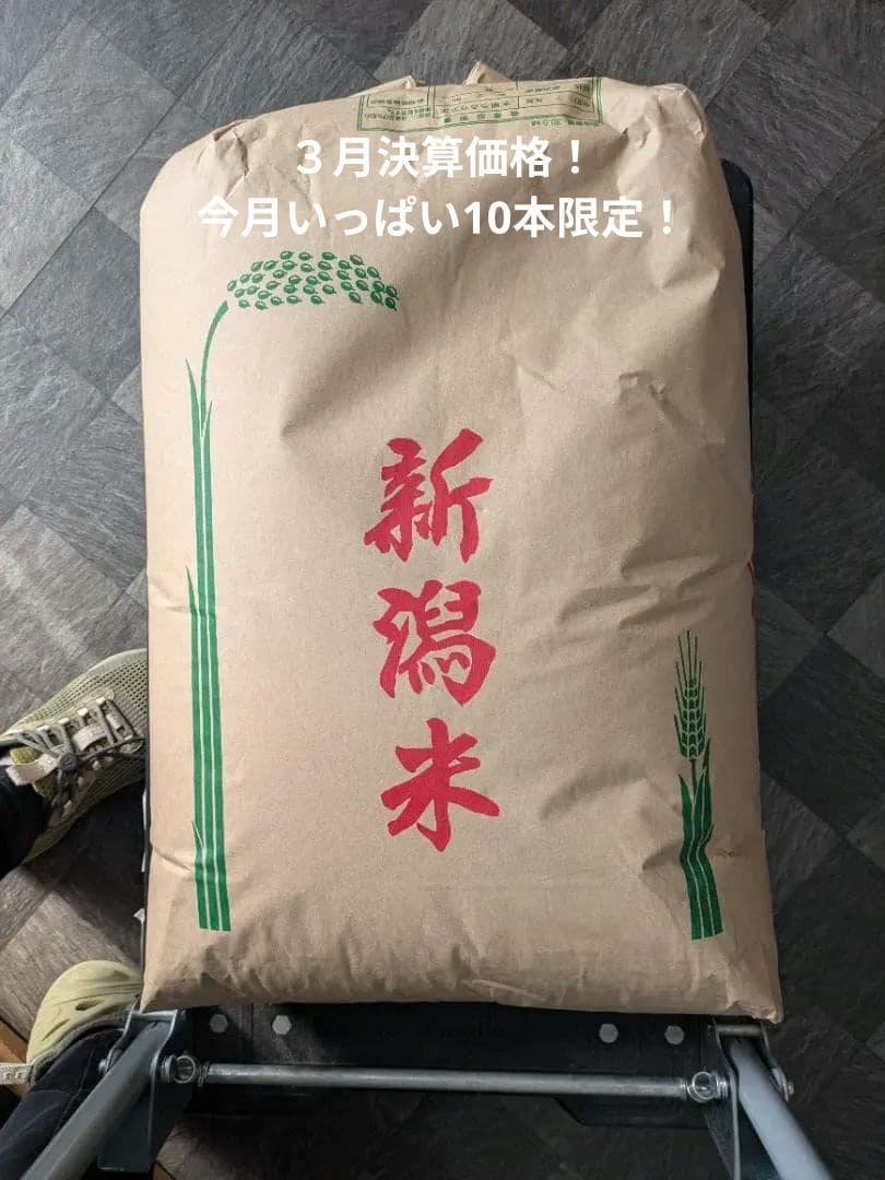 令和7年産❣　新潟県三条市産 契約農家　佐藤さんの新之助　玄米 30kg