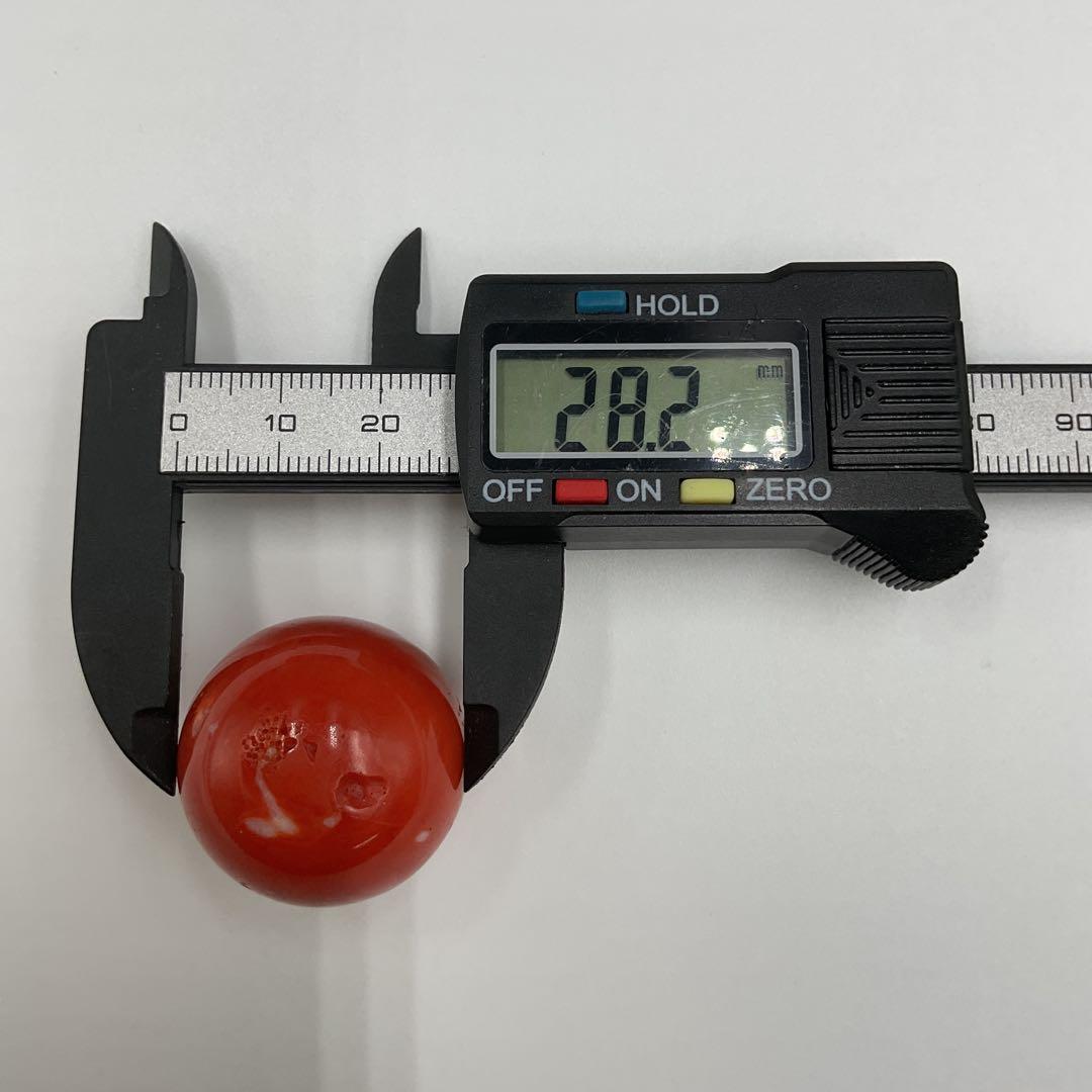 X18 珊瑚　サンゴ　穴空き　球体