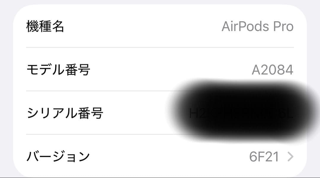 AirPods Pro 第1世代（Lightning充電ケース）