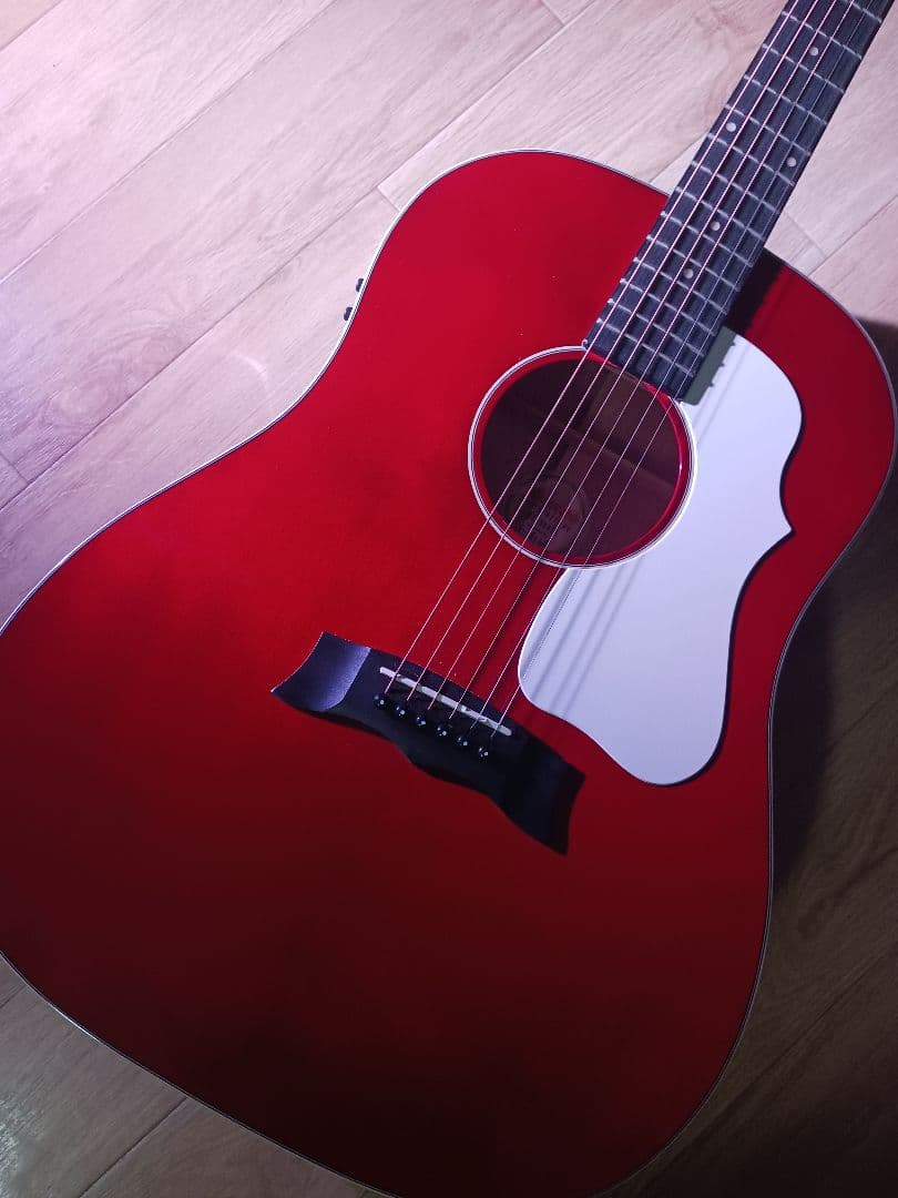 Morris モーリス G-021E WR エレアコ