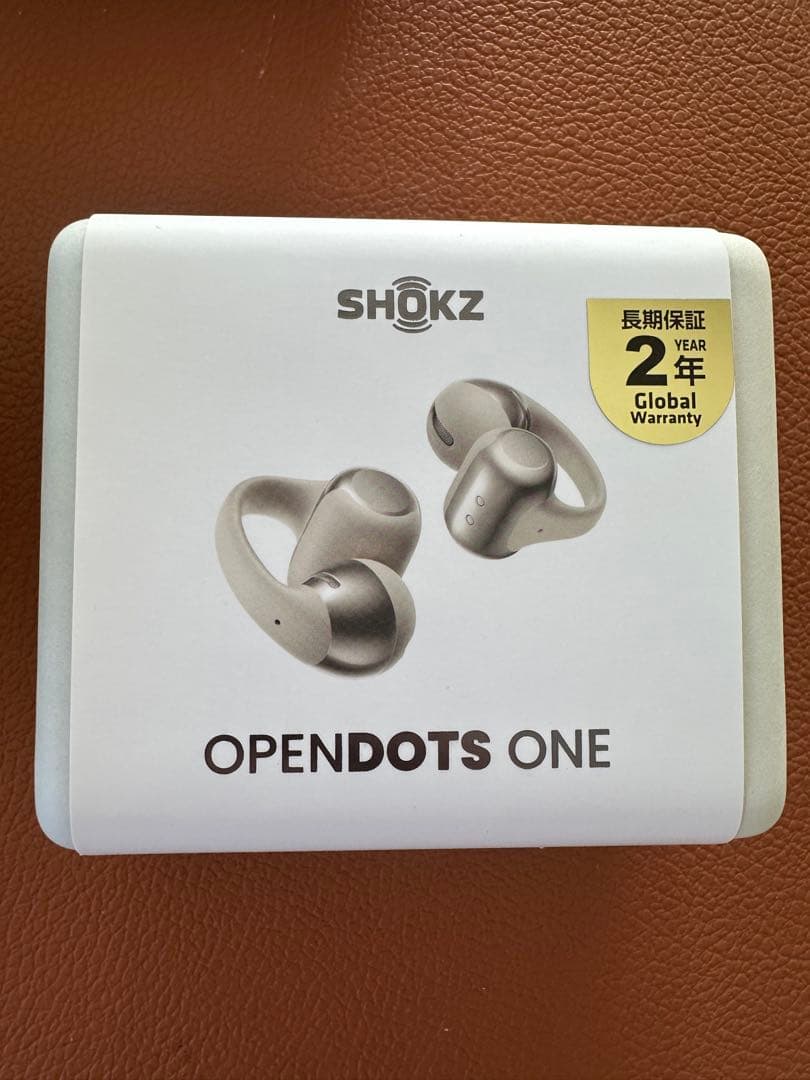 SHOKZ OPENDOTS ONE グレー
