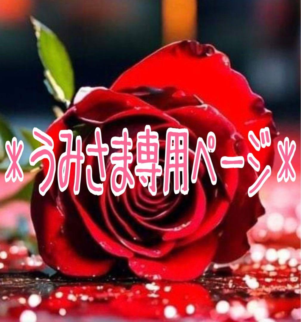 * うみさま専用ページ*