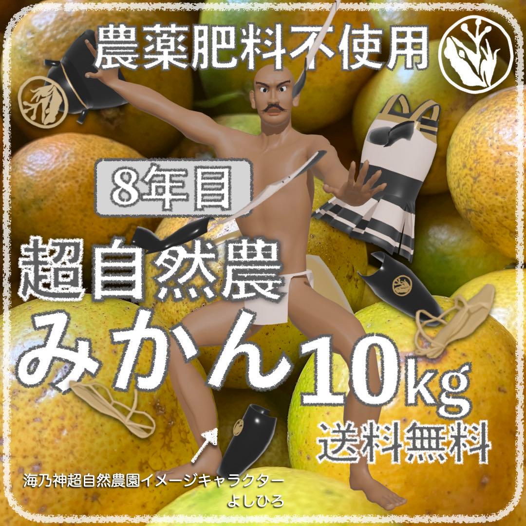 自然農みかん10kg 8年目 農薬肥料不使用 自然農法 海乃神自然農園