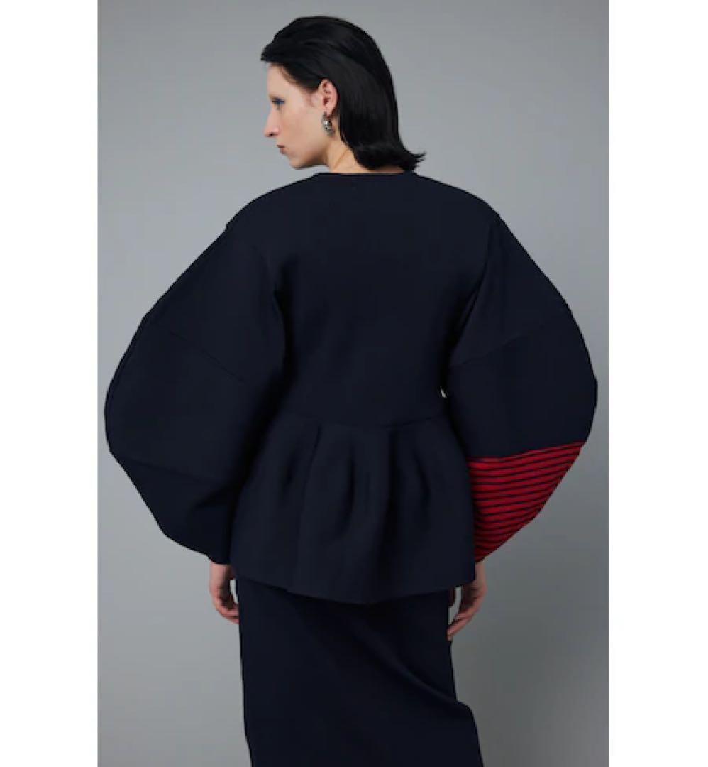 美品　HeRIN.CYE Color block flared tops