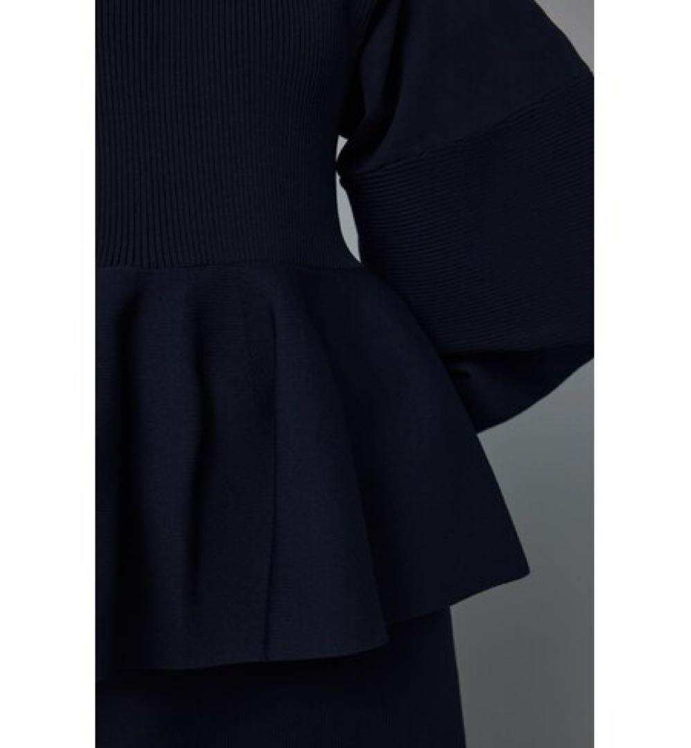 美品　HeRIN.CYE Color block flared tops