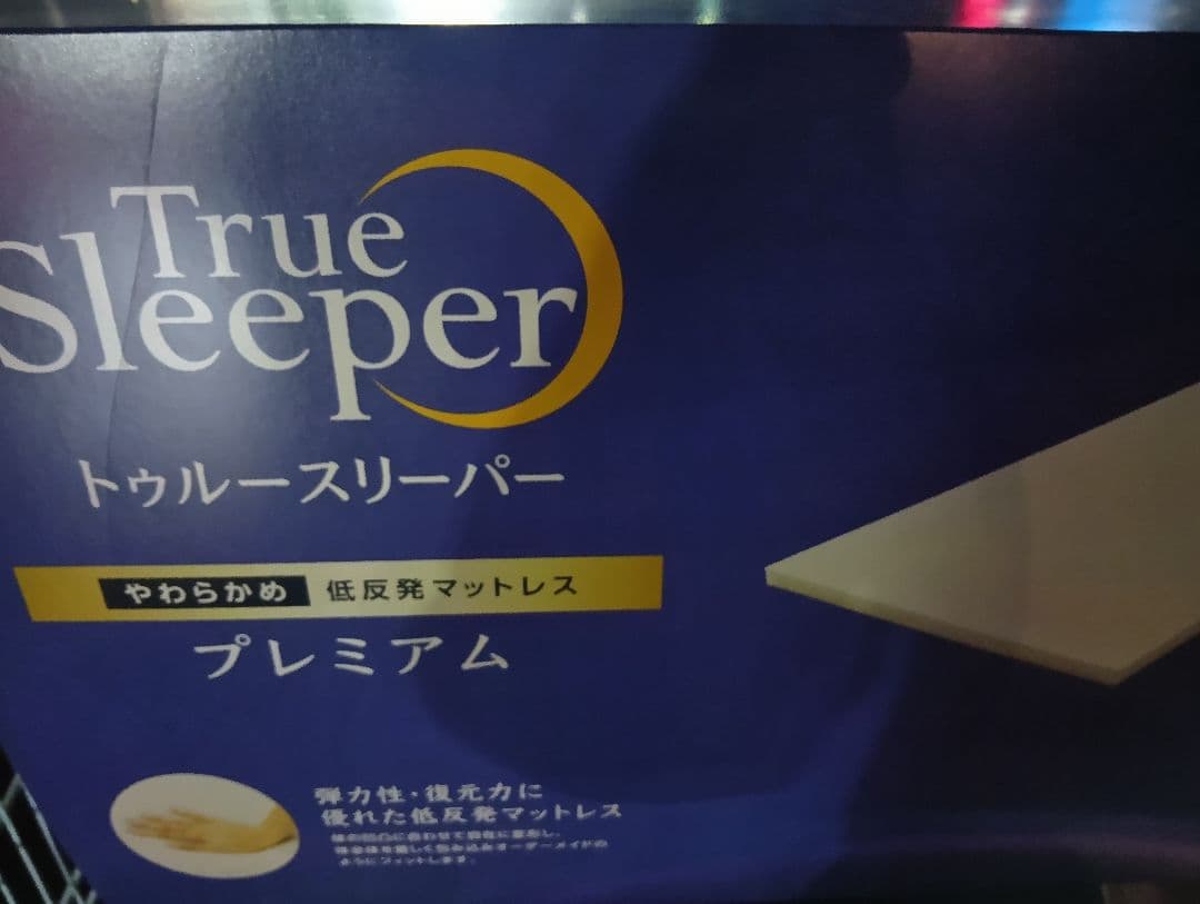 True Sleeper プレミアム シングル