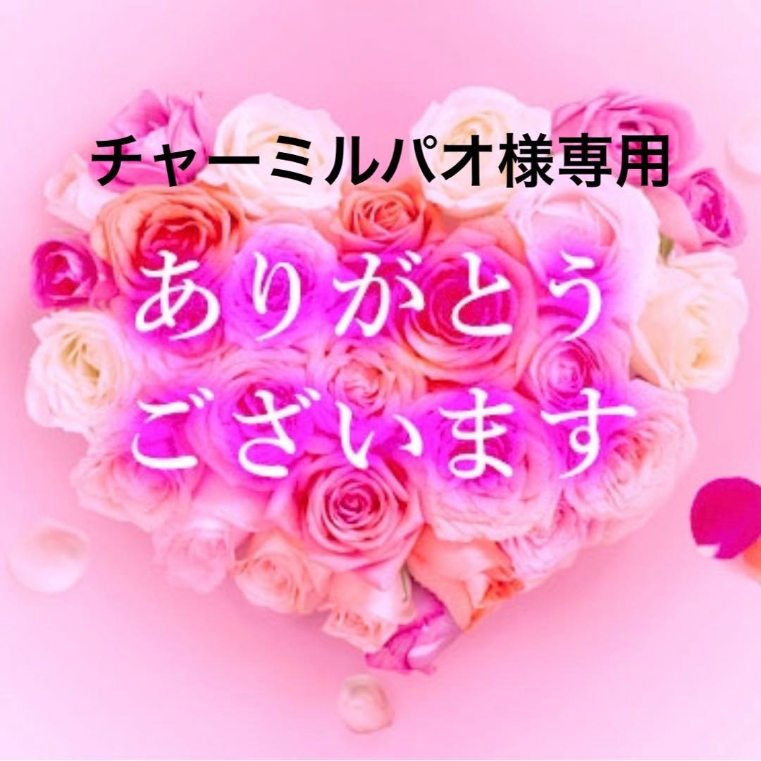 チャーミルパオ