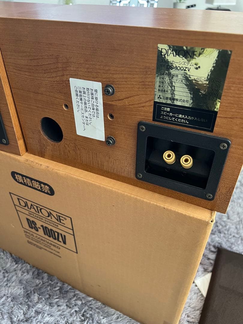 美品　ダイアトーン　DIATONE DS-100ZV スピーカー