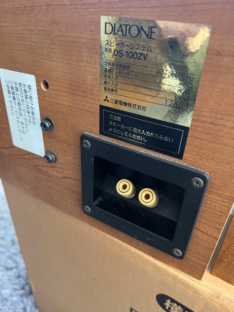 美品　ダイアトーン　DIATONE DS-100ZV スピーカー