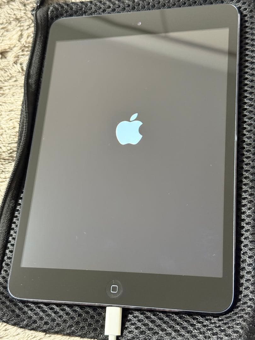 【超貴重】初代iPadと初代iPad mini 2台セット（ゾンビカフェ等対応）