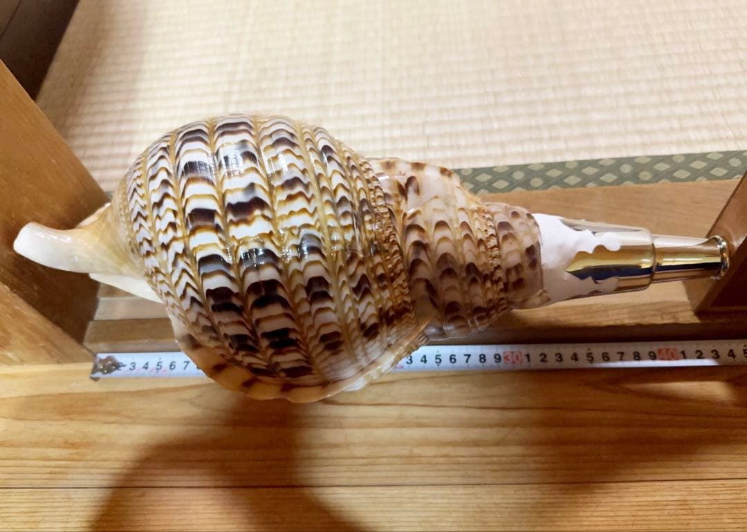 特大41.5㎝修験道法螺貝　山伏　熊よけ❣️ホラガイ　ほら貝