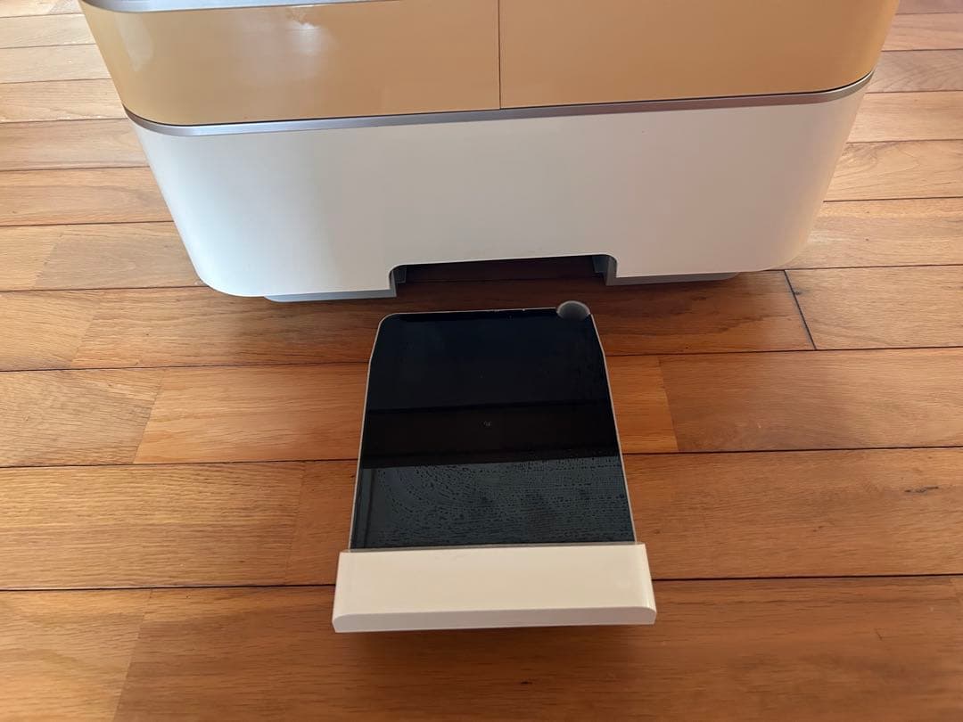 sagina BIJOU 美顔器　サキナ　ビジュー