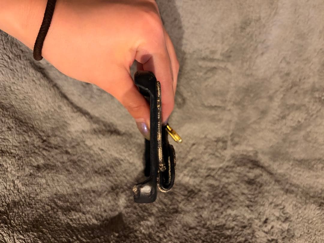 Dior iPhone13pro ケース